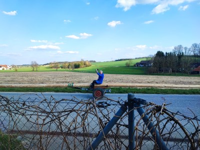 Maibaum umlegen 24.10.2025