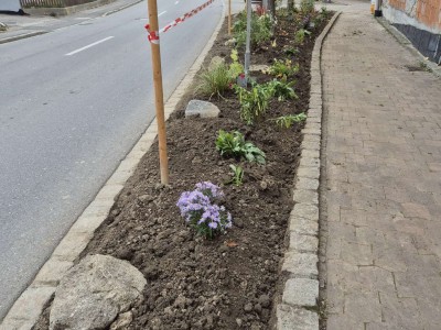 Bepflanzung Gangkofener Straße 18.10.25