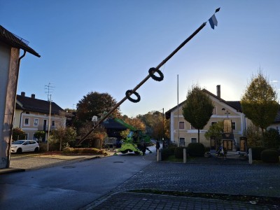 Maibaum umlegen 24.10.2025